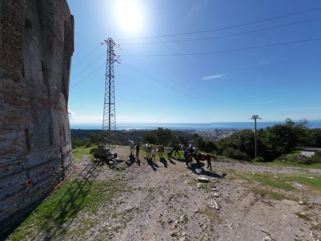 Paseo a caballo, entre el sol y la naturaleza 