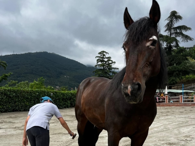 Nuestros operadores en el trabajo 