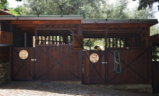  Los establos de Rocco Ranch 