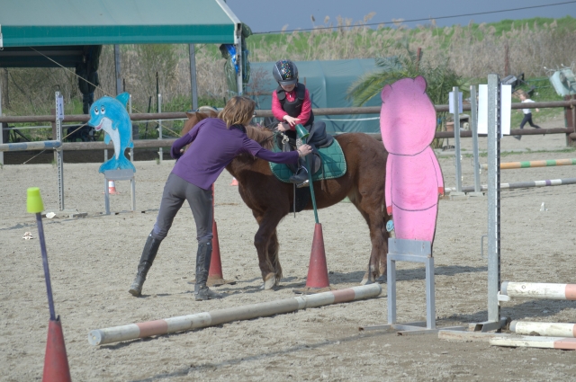 e-19868113-dsc-9739-resultado177936684217793668766735.jpg
