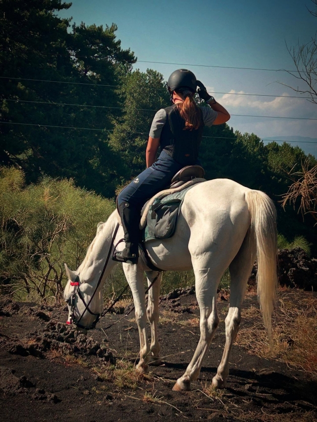  de excursión 
