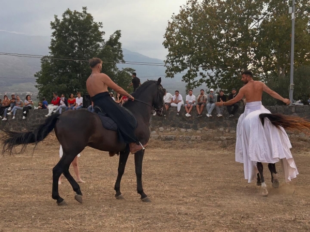 espectáculo ecuestre 