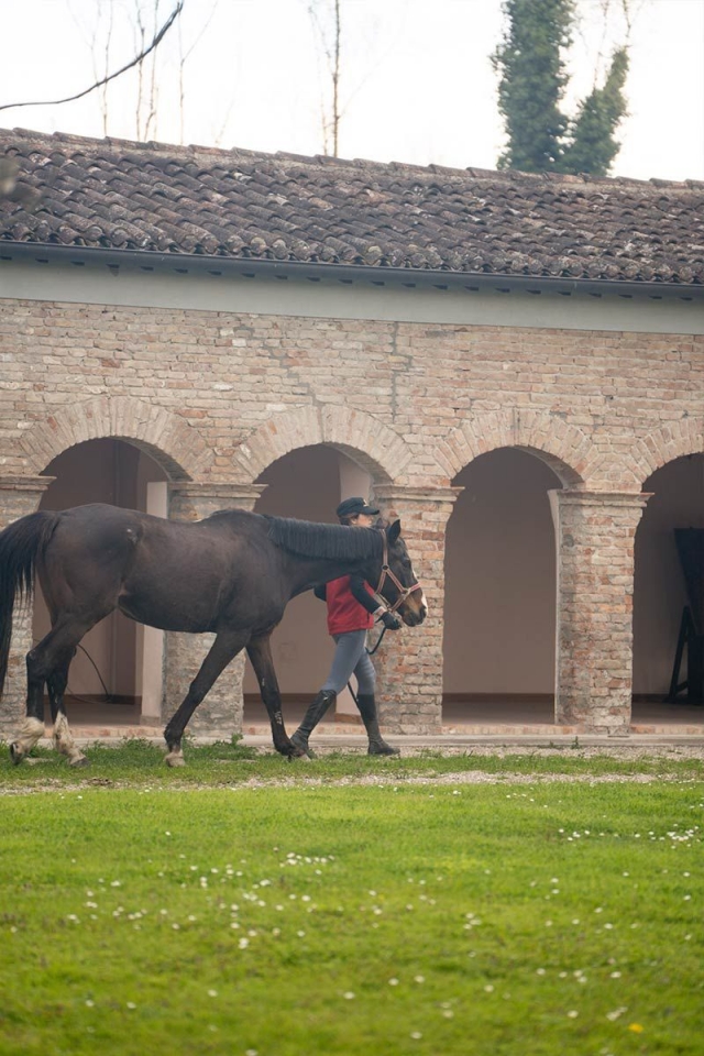  Caminar 