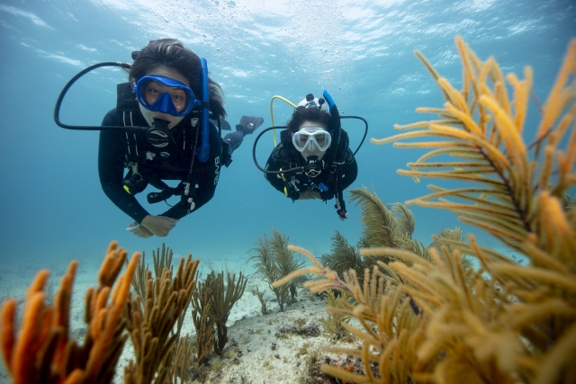  descubre el buceo 