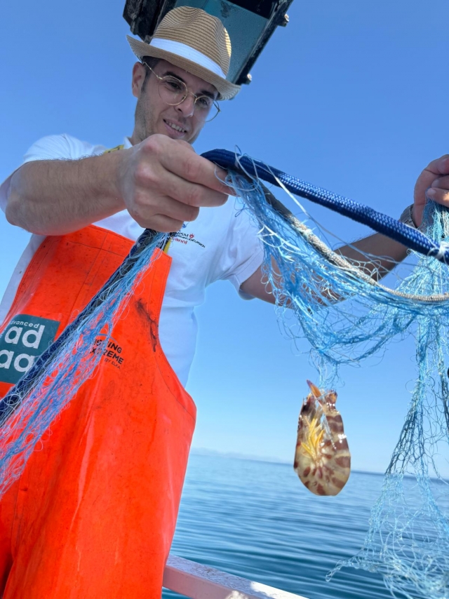  Camarones 