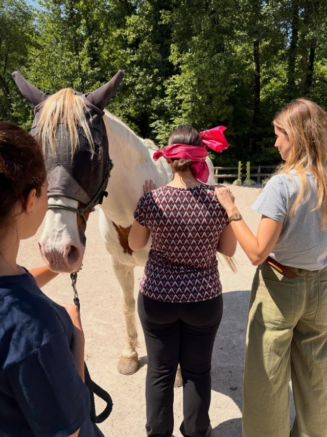  Conocimiento de los caballos 