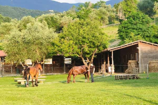 Los establos y el paddock del Centro Ecuestre La Speranza en Pelago 
