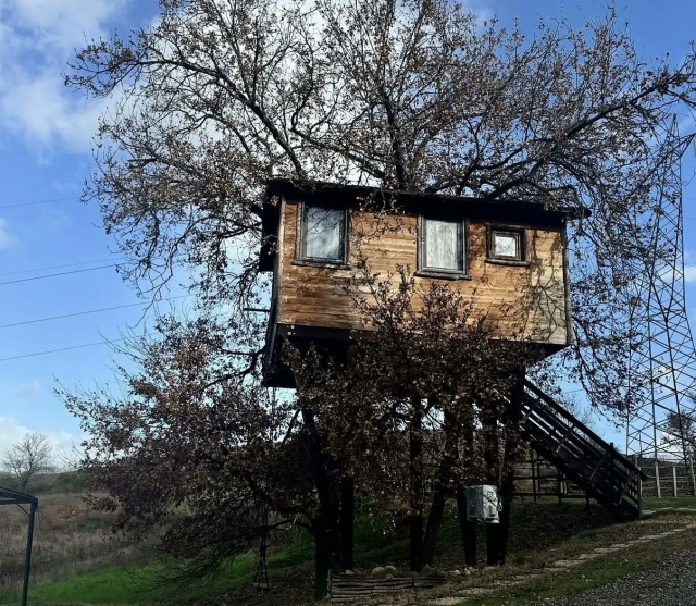  La casa del árbol en el roble 