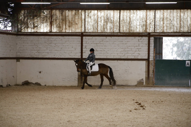  Súbete a la silla y aprende a subir 