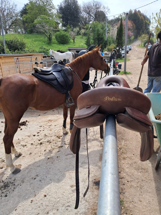  Clases de equitación en Lacio 