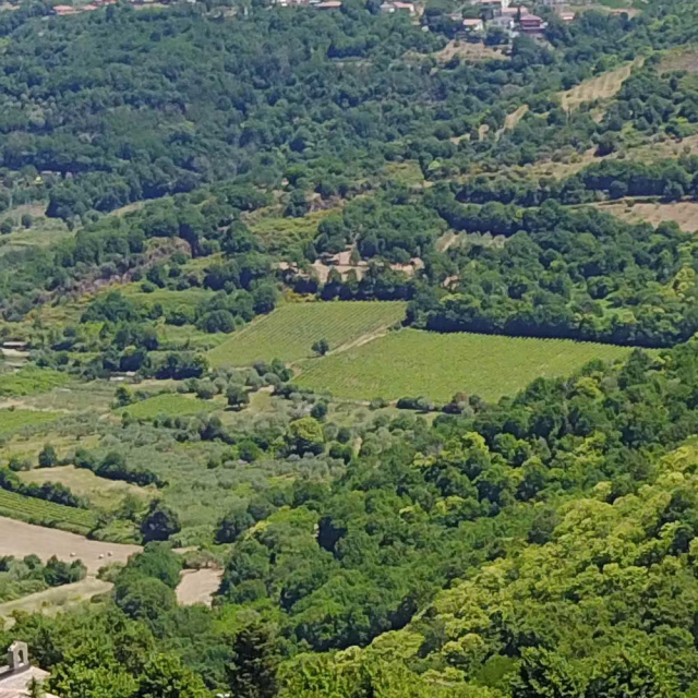  El colinas alrededor de la loma