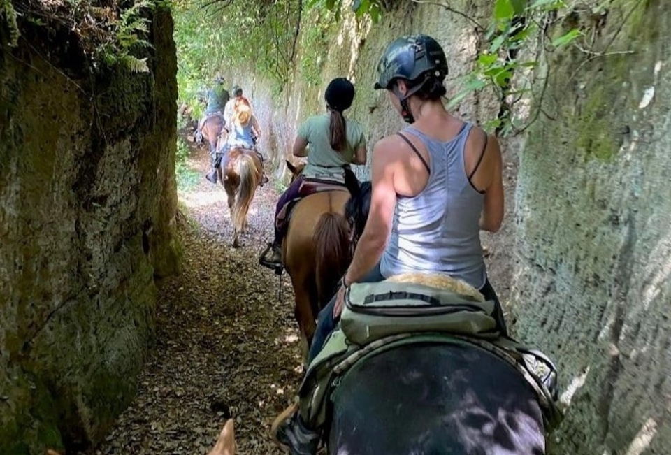 nuestro jardín nuestro jardín
