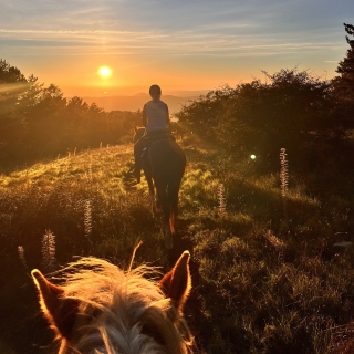 Pensión completa 2 horas a caballo Castellanza