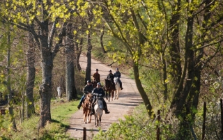 Pensión completa 2 horas a caballo Castellanza