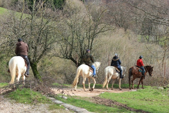  A caballo en la naturaleza 