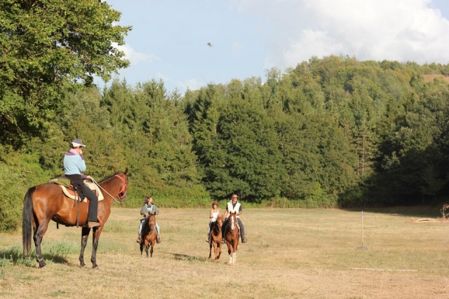  Cabalgando en la naturaleza 