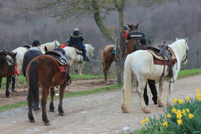  Pbaños a caballo en compañía 