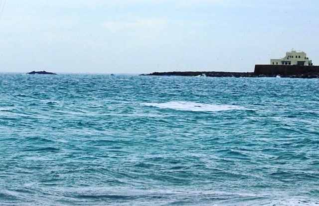  Relajándose junto al mar