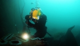 Guía de buceo en Sicilia. el arrecife de coral