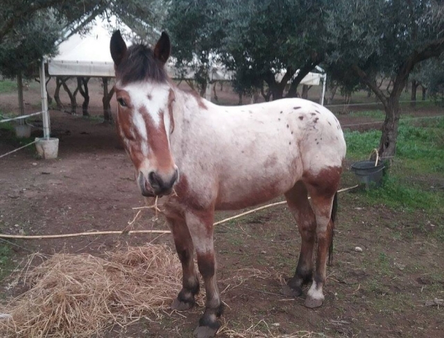  ¡Sonríe! ¡La diversión está por comenzar!