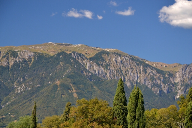  Monle Grappa 