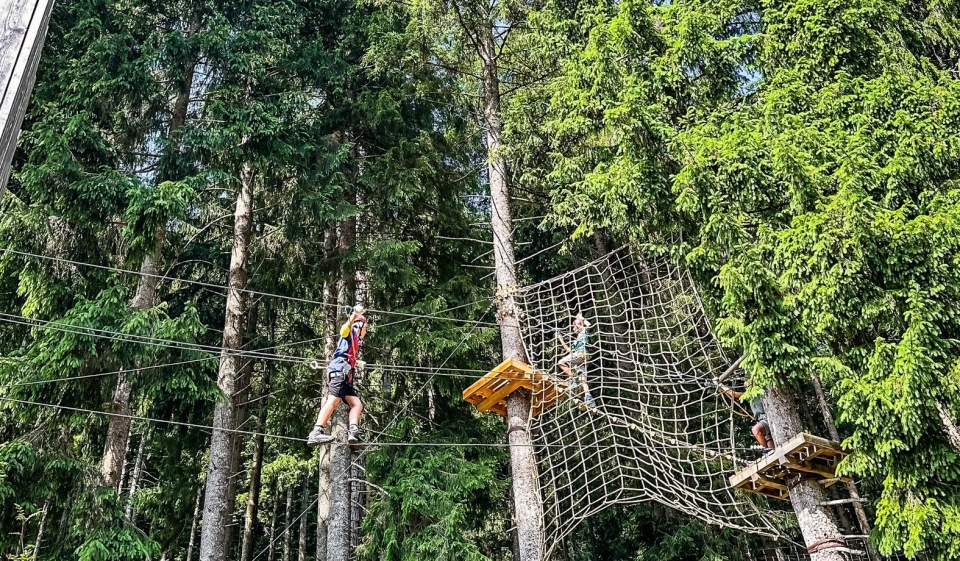  Diversión asegurada