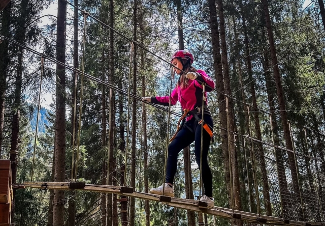 Parque BREG TARJETA FAMILIAR 1 adulto+2 niños