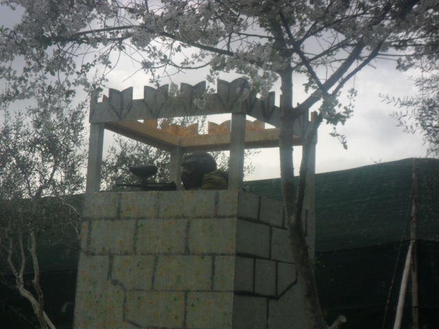 Campo 