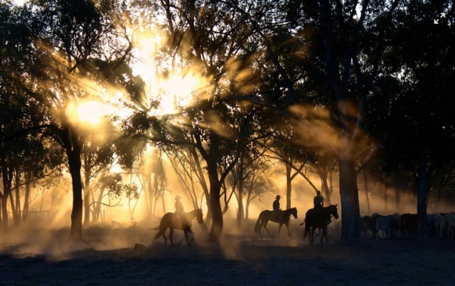  pbaños a caballo umbria 