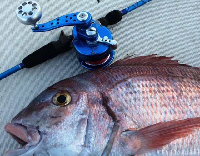  Caña y pesca 