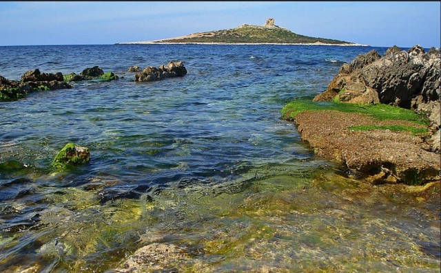  isla de las hembras 