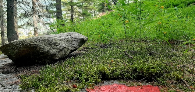 Las rutas por las que caminaremos 