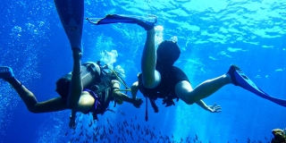 Departamento con buceo en julio Ustica