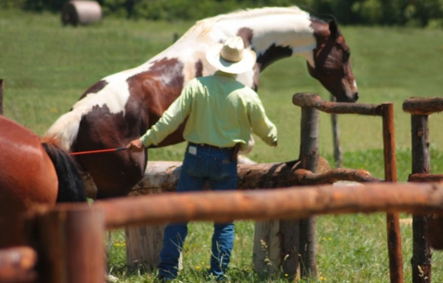 Equitación ética en Lunigiana 3h