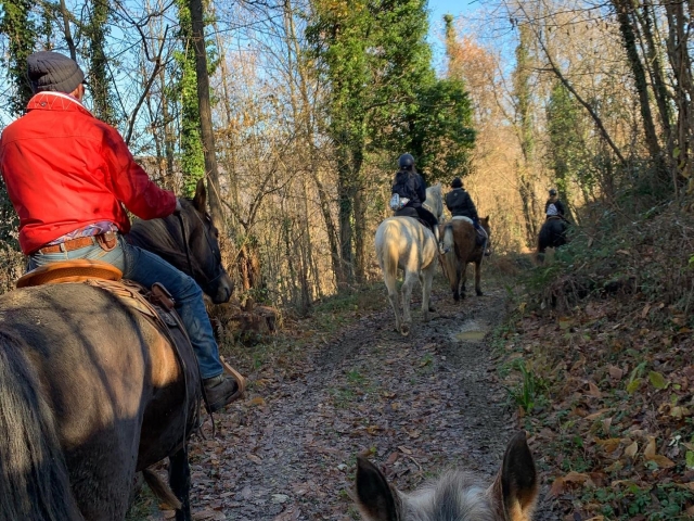  oasis para caballos y caballeros 