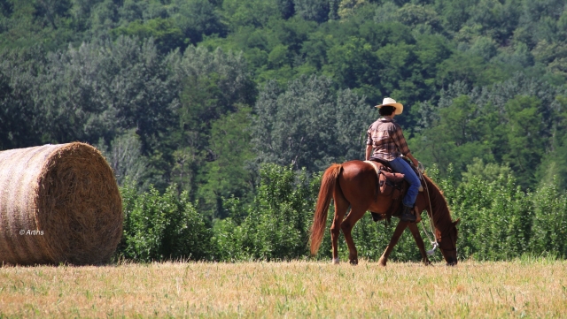 Equitación ética en Lunigiana 3h