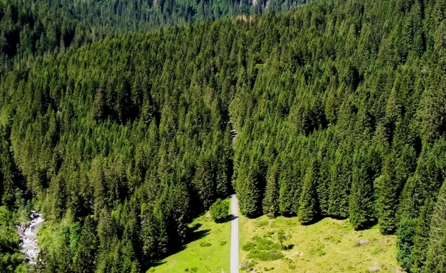  El Parque Natural Adamello Brenta 