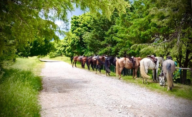  Parada relajante en plena naturaleza 