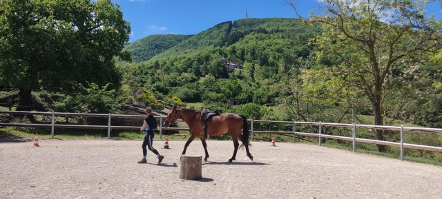  El recinto donde practicarás 
