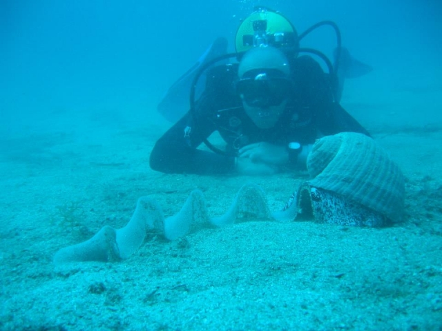 Curso de aguas abiertas en Otranto