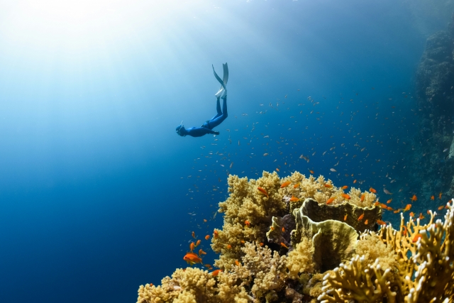 Curso de aguas abiertas Padi Alessandria