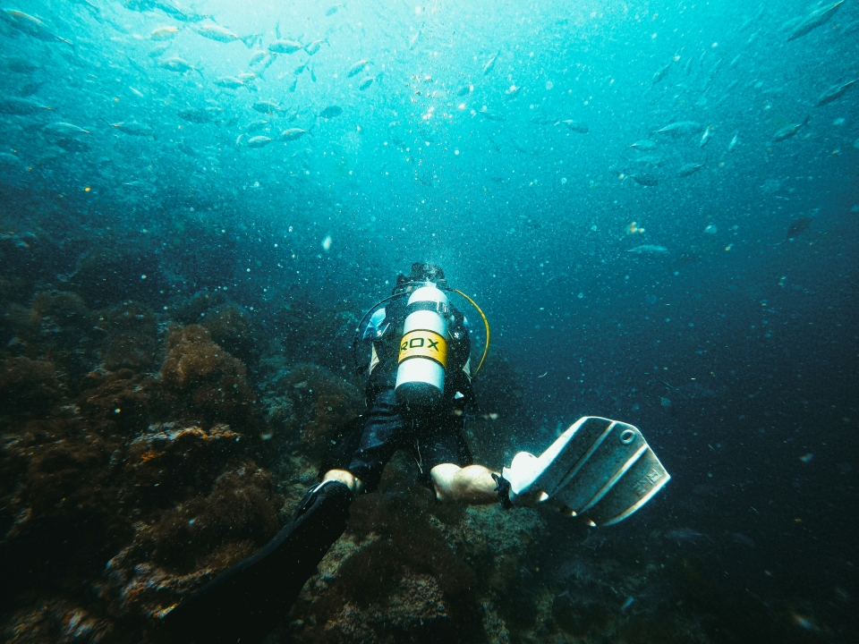  Buceo en las profundidades del mar