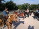 Cabalgatas Rieti