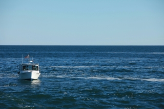 Fin de semana corto Pesca en barco Islas Egadi Junio-Septiembre