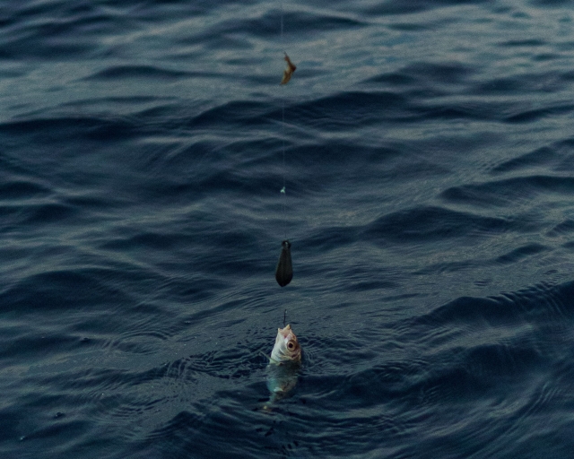 Fin de semana de pesca en barco en Egadi de octubre a junio