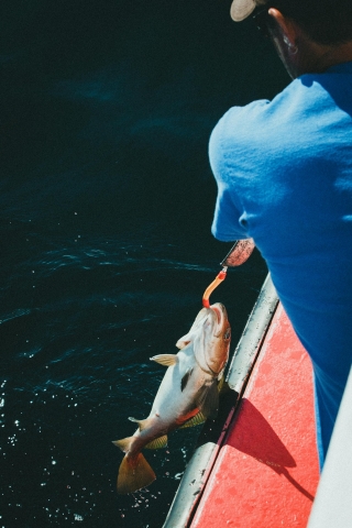 Semana de pesca en las Islas Egadi junio-septiembre