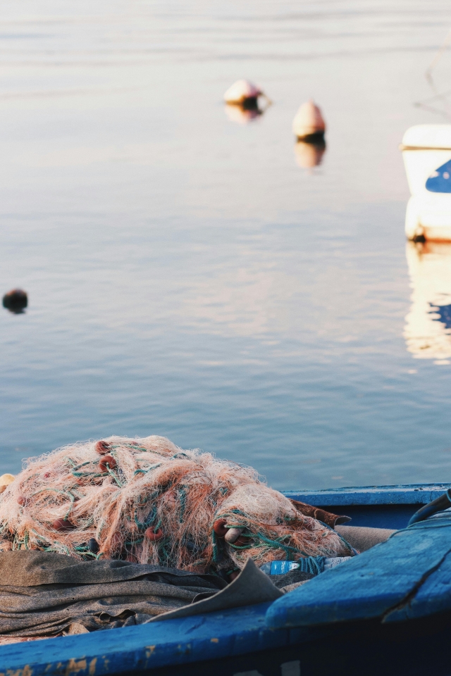 Semana de pesca en las Islas Egadi de octubre a junio