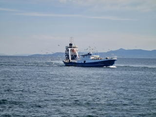 Bancos de pesca 1 día Canal de Sicilia Junio-Septiembre