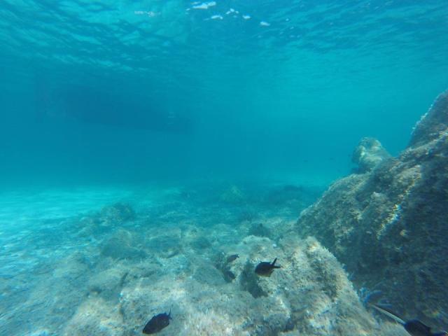 Los fondos marinos de Sassari