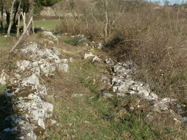  Sendero 